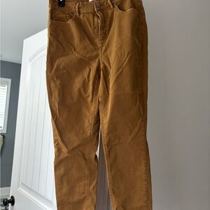 LOFT Women's Brown Chinos